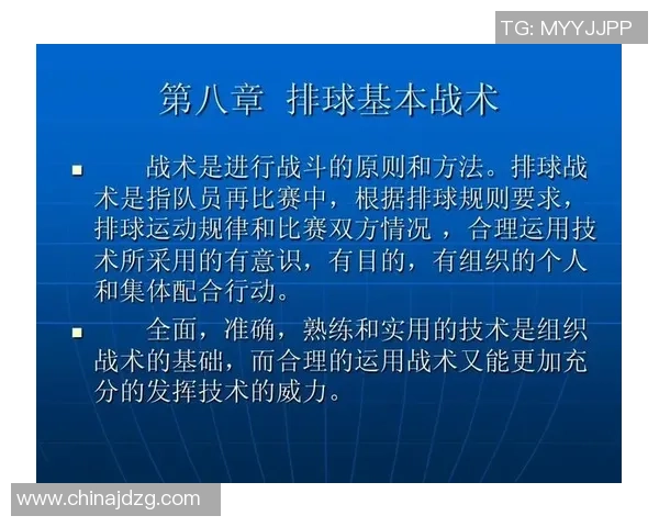 上海排球队的战术变革与球员转型深度解析